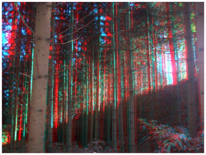 3D-Verzerrung