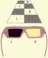 XpanD 3D